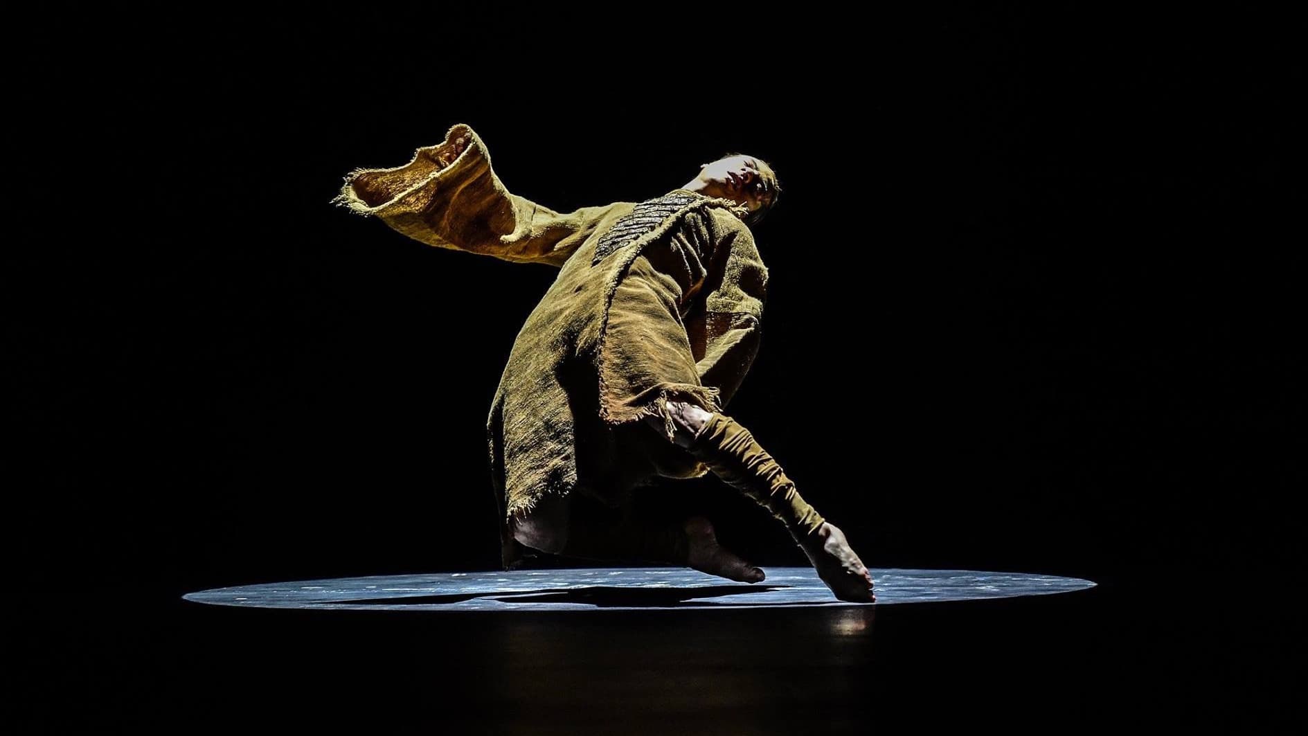 Dance Vision — SADA Salzburg Academy for Dance Arts